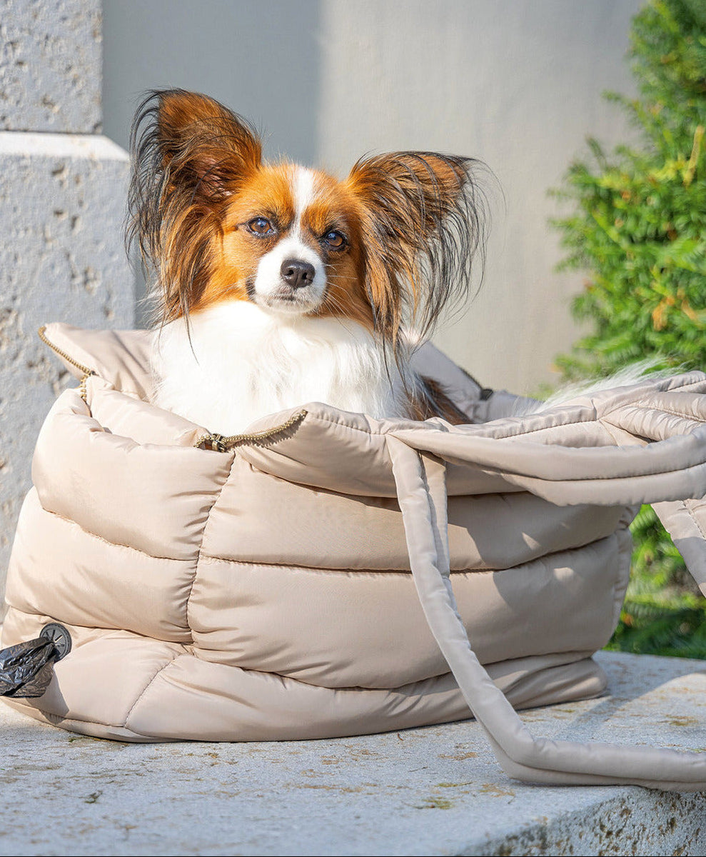 Transportboxen und - Taschen