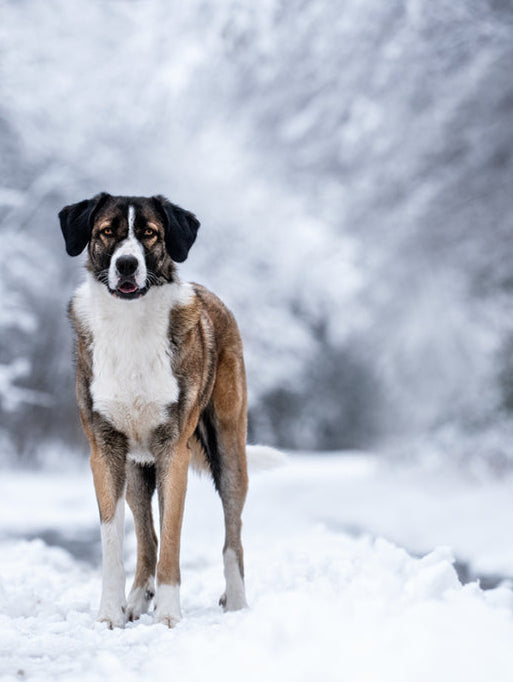 Unsere Aktuellen Produkten