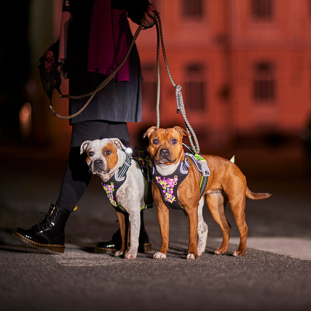 HURTTA Weekend Warrior Neon Hundegeschirr II