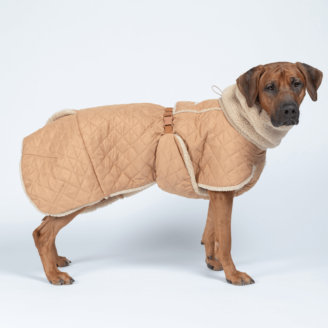 PAIKKA Hunde Jacke