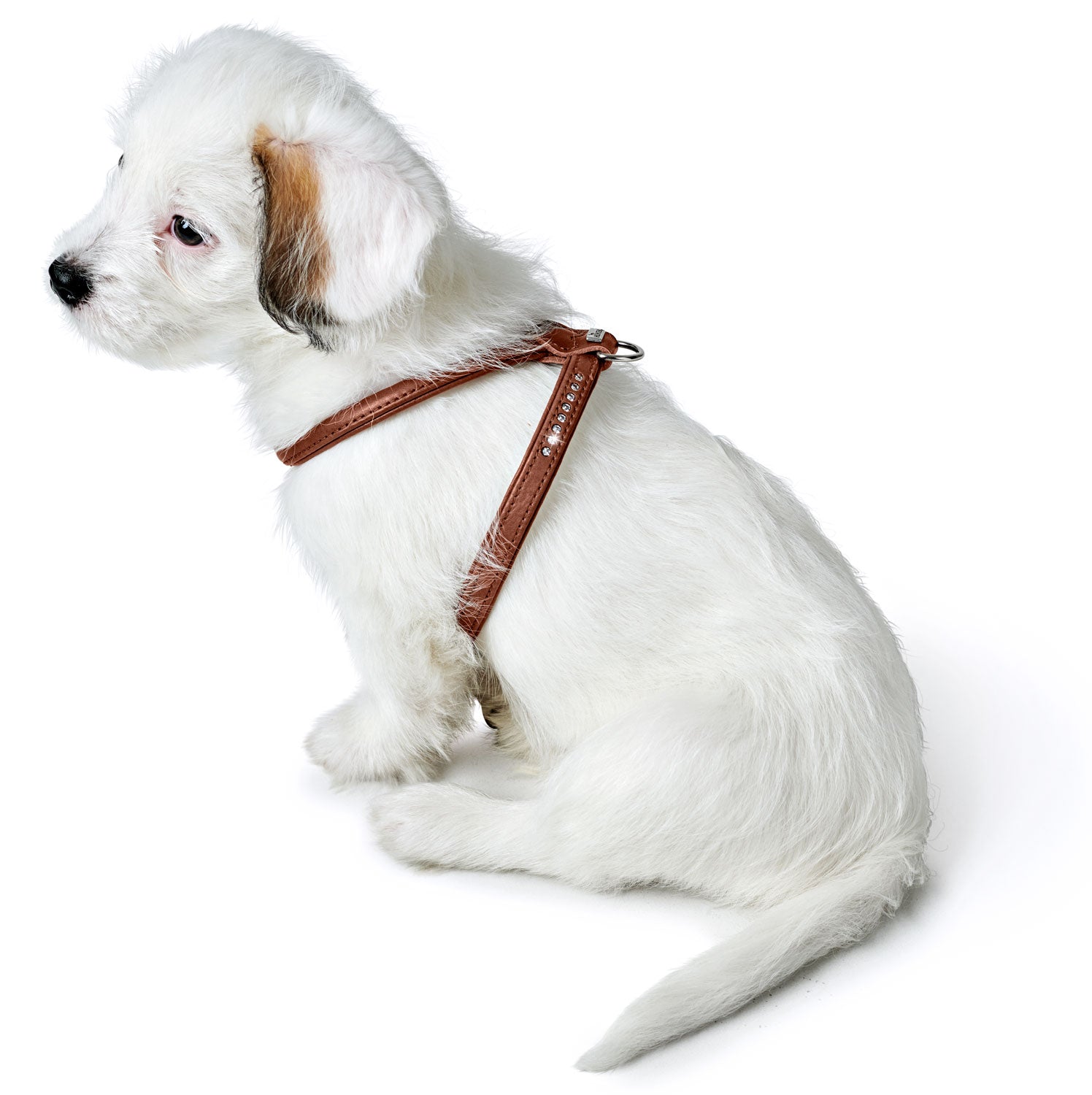 HUNTER Geschirr Round & Soft Canadian Up