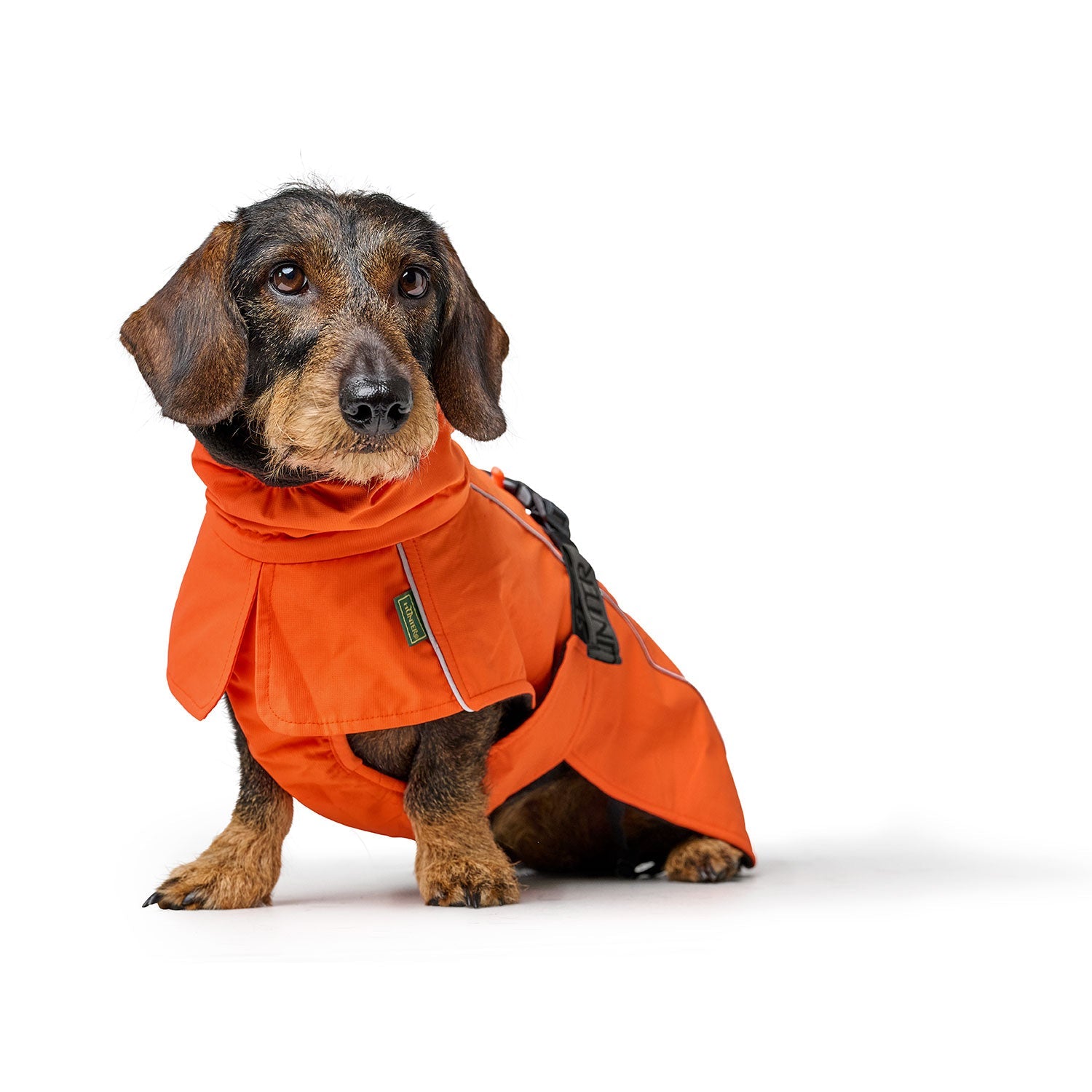HUNTER Hundemantel Nordby Dachshund