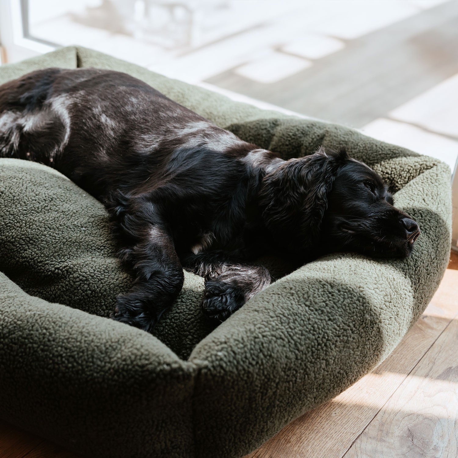 HUNTER Hundesofa Kumara khaki