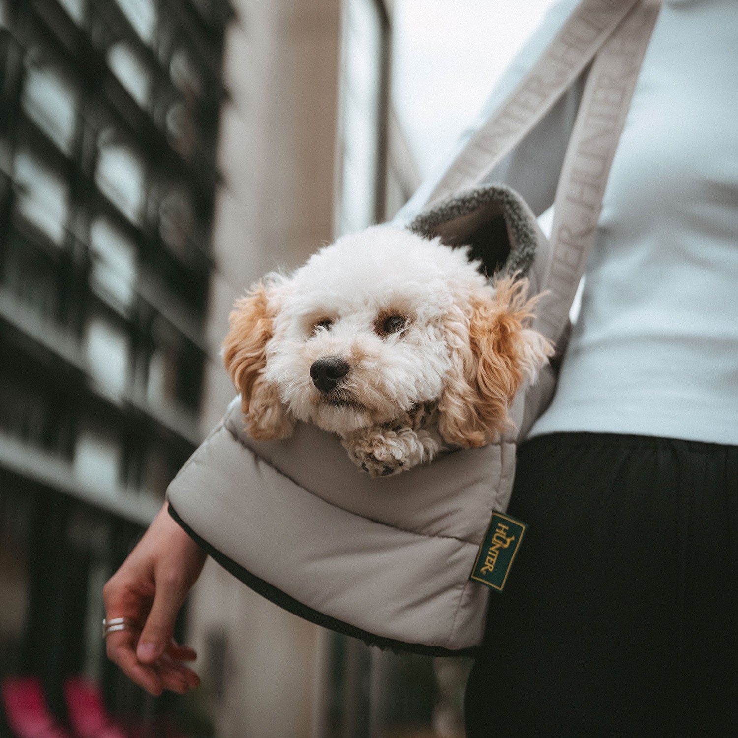 HUNTER 2-in-1 Hunde-Tragetasche und Decke Seoul