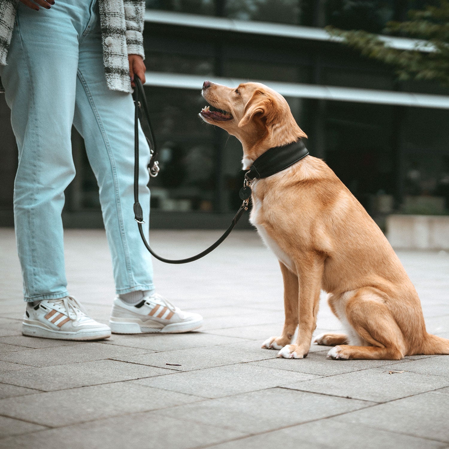 HUNTER Ergonomisches Halsband Arvika