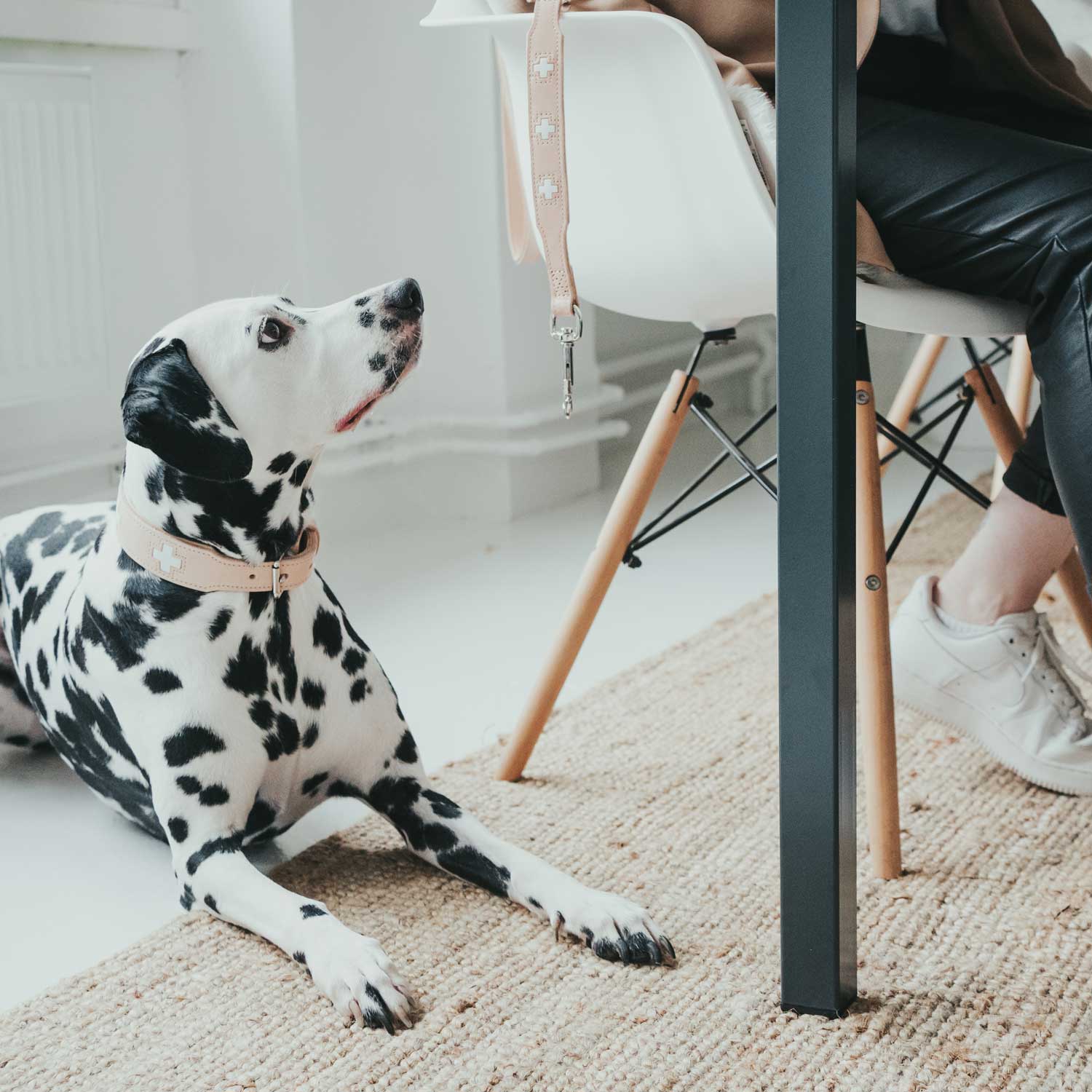 HUNTER Halsband Swiss