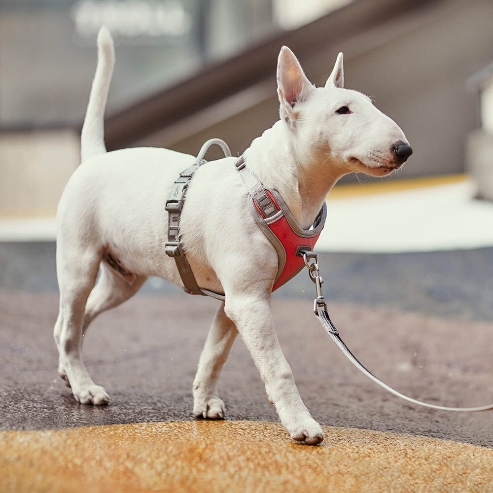 HURTTA Venture No-Pull Geschirr