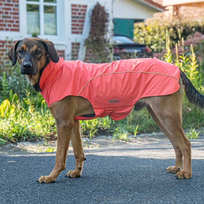 WOLTERS Regenjacke Easy Rain