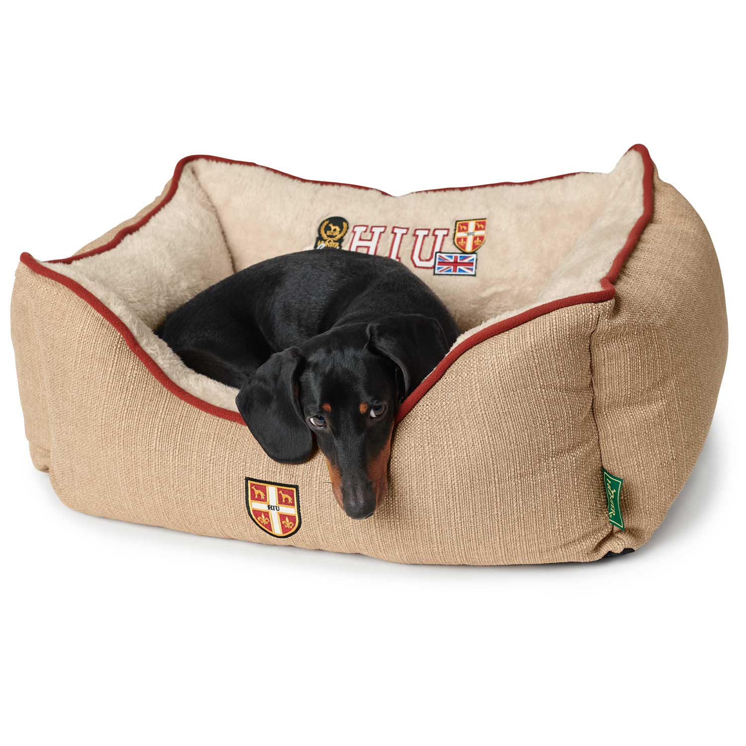 HUNTER Hundesofa University