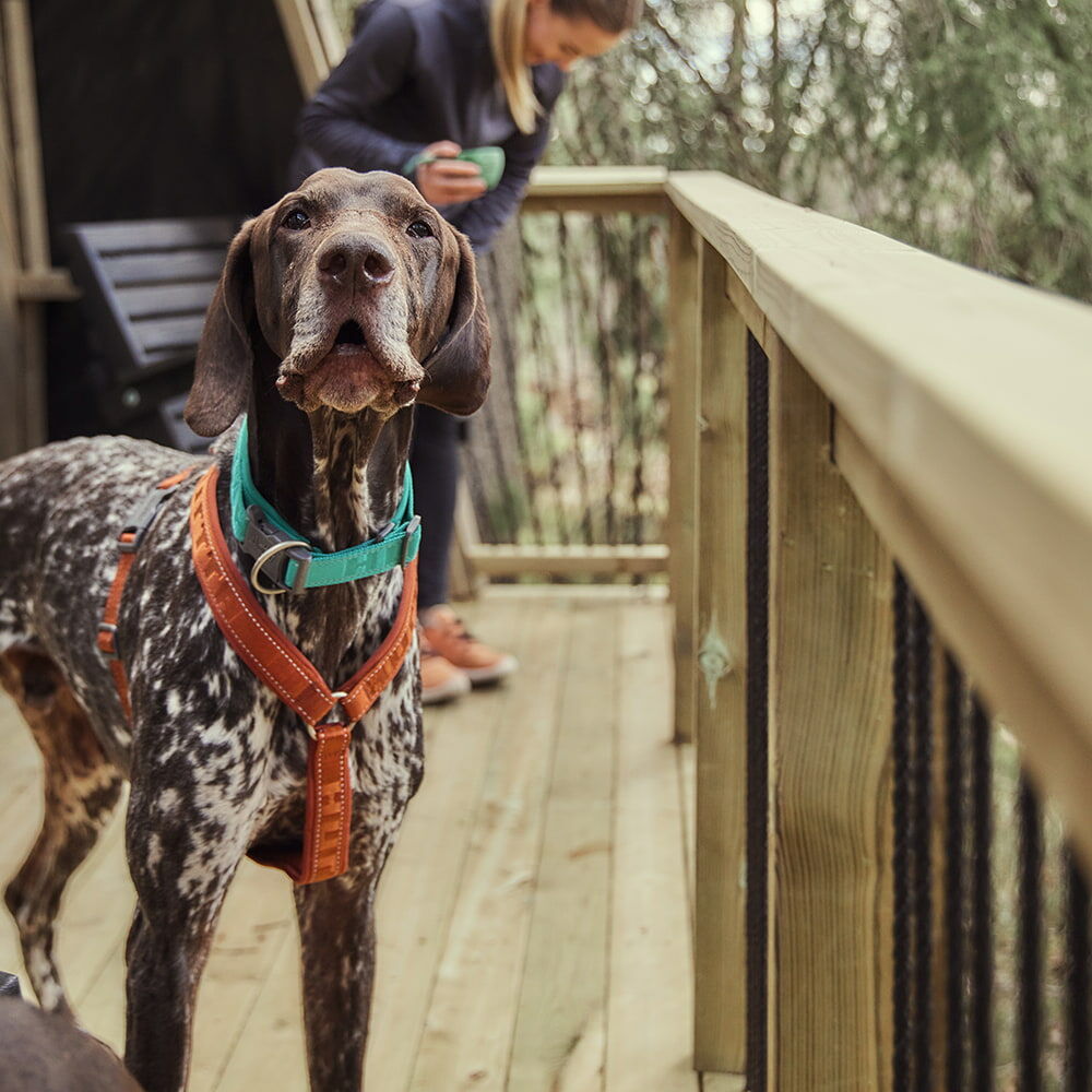 HURTTA Casual Y-Geschirr