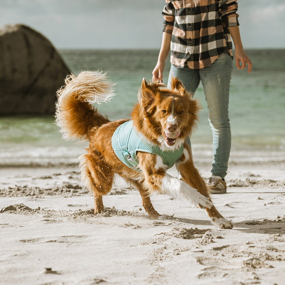 HURTTA Cooling Wrap Kühlweste