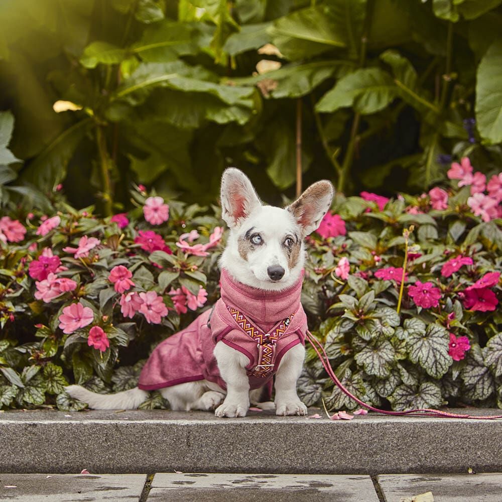 HURTTA Razzle-Dazzle Midlayer Jacke