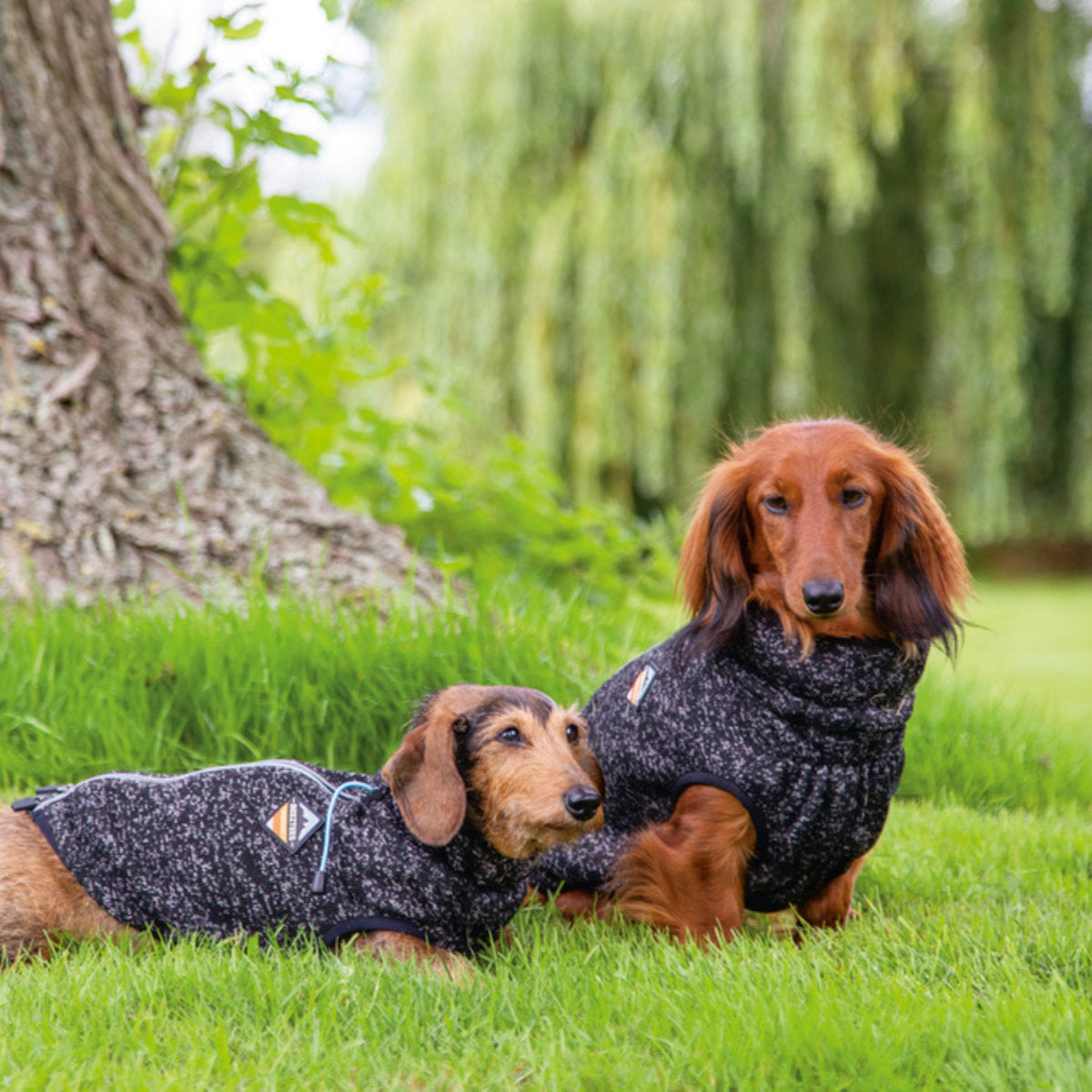 BEEZTEES Hundepullover Celia