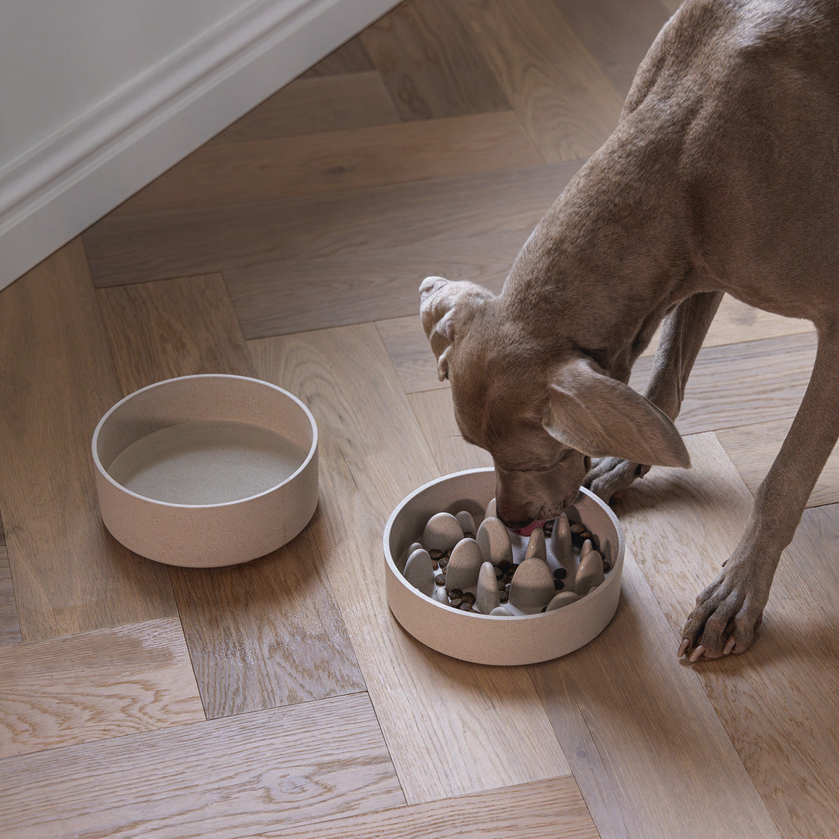 DESIGNED BY LOTTE Antischling-Napf Pom beige aus Bambus für Hunde