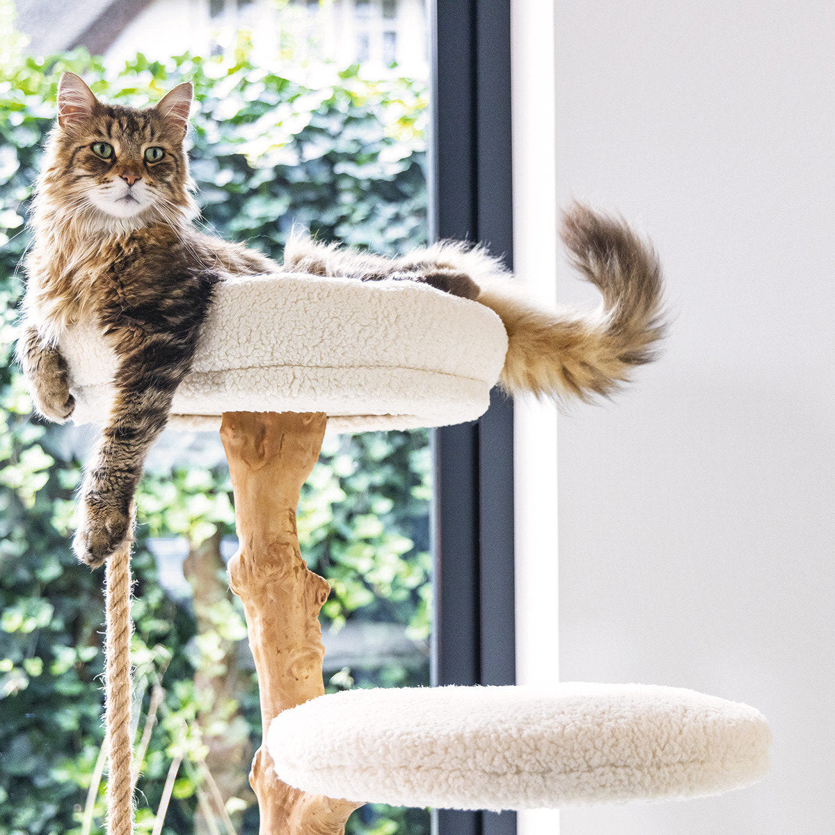 DESIGNED BY LOTTE Kratzbaum Vilja aus Holz