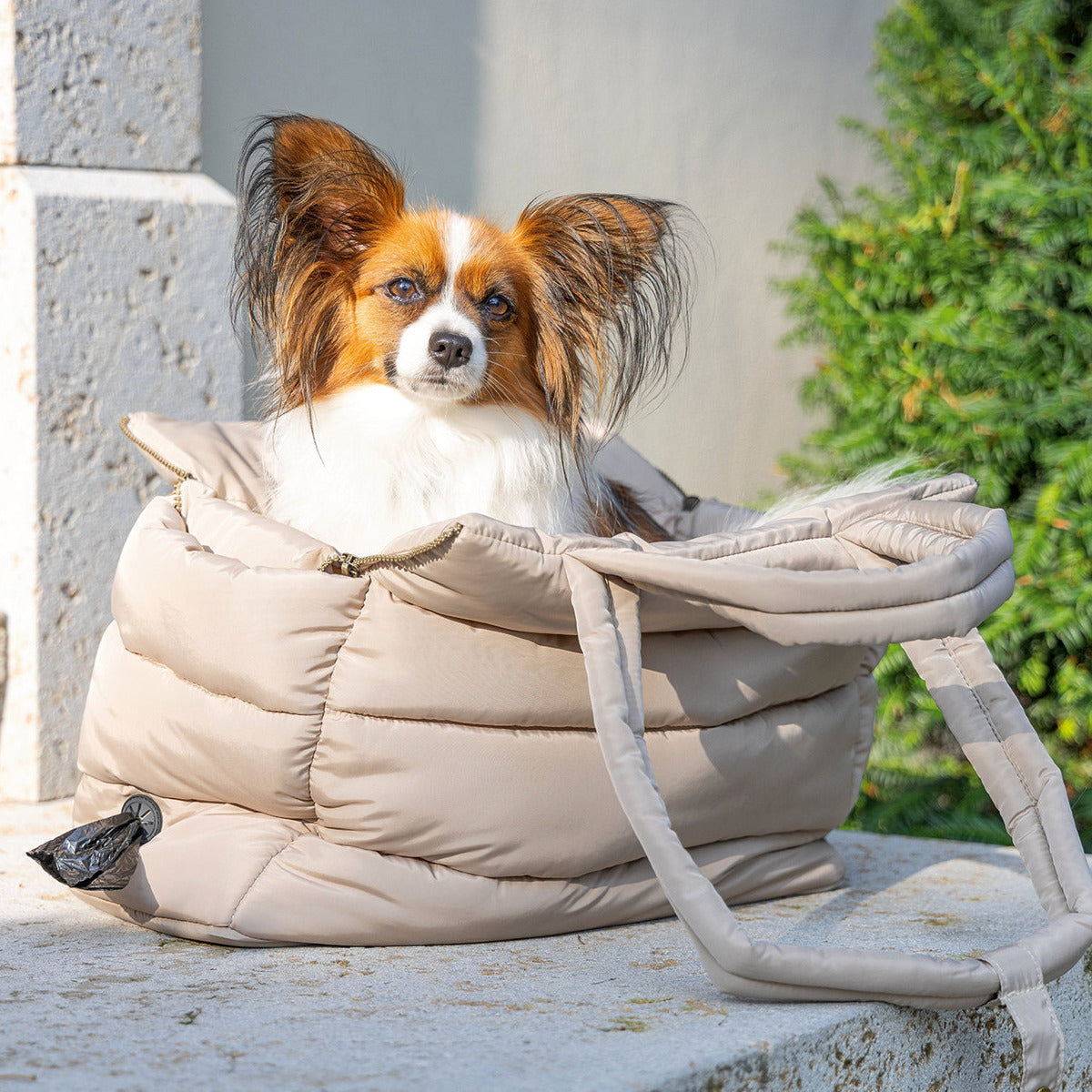 DESIGNED BY LOTTE Tragetasche Tico für Hunde