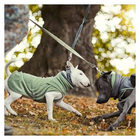 HURTTA Razzle-Dazzle Halsband