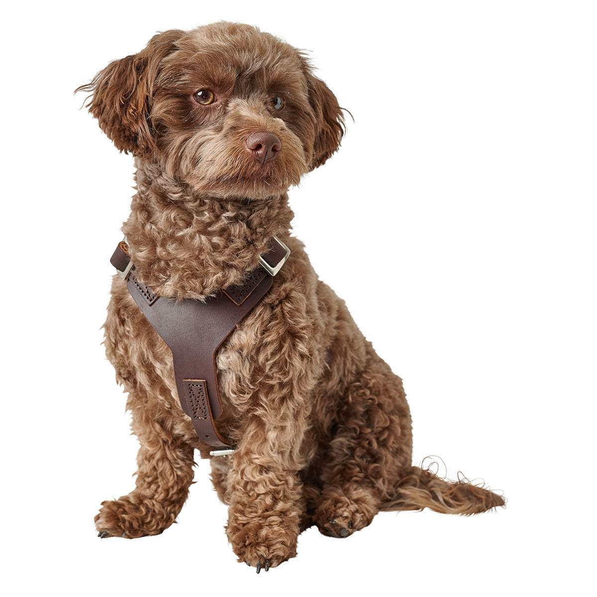 HUNTER Geschirr Aalborg