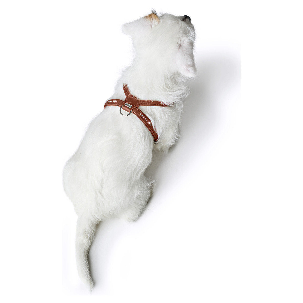 HUNTER Geschirr Round & Soft Canadian Up