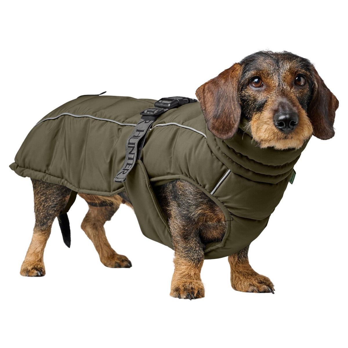 HUNTER Hundemantel Paxson Dachshund