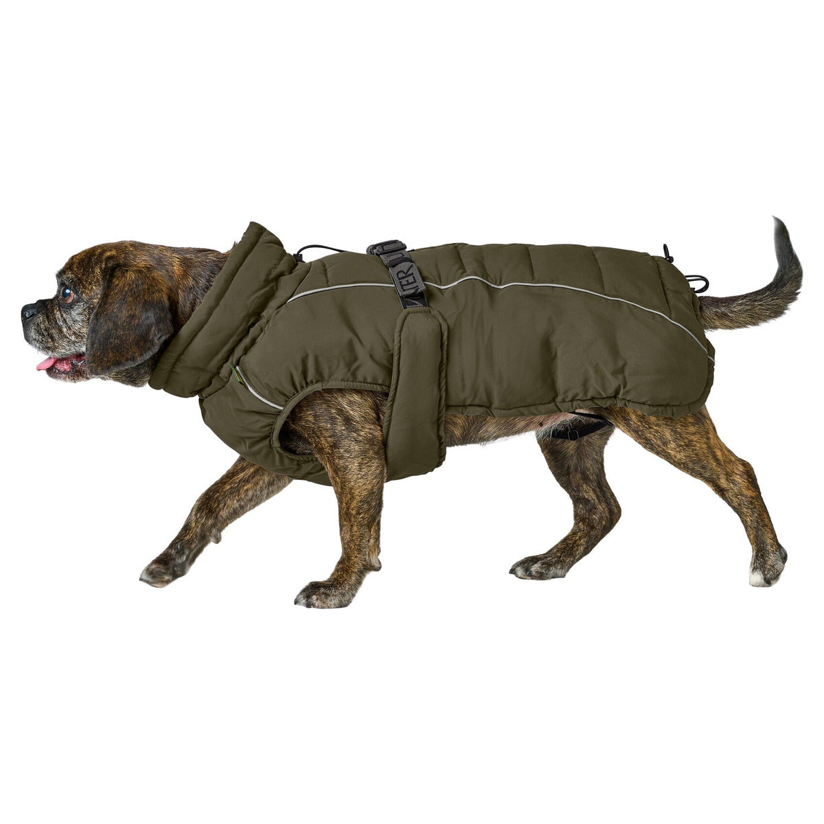 HUNTER Hundemantel Paxson Mops & Co.