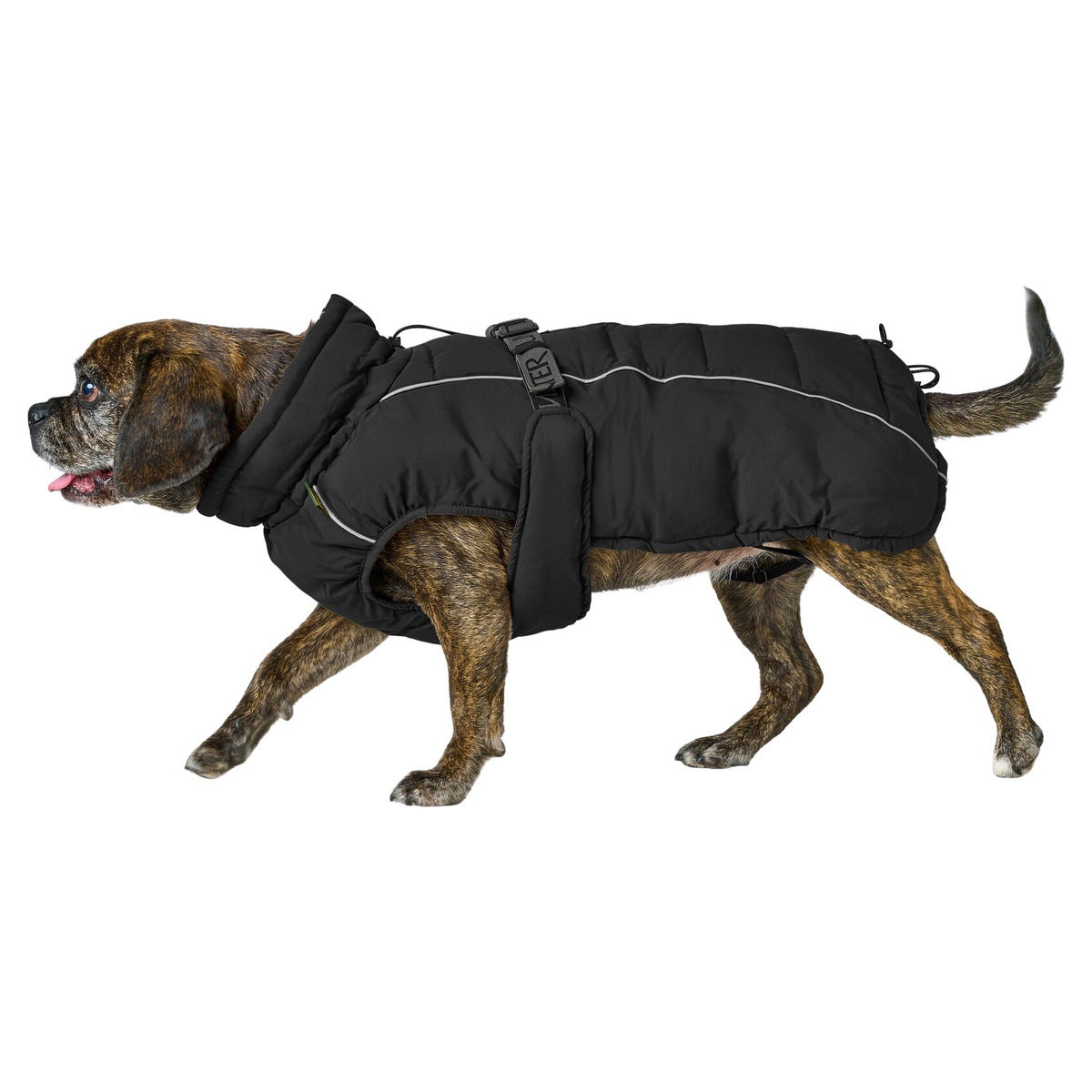 HUNTER Hundemantel Paxson Mops & Co.