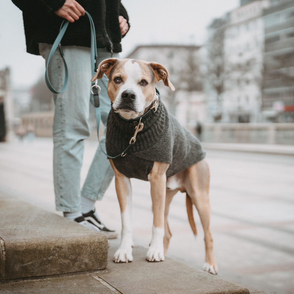 HUNTER Hundepullover Genf