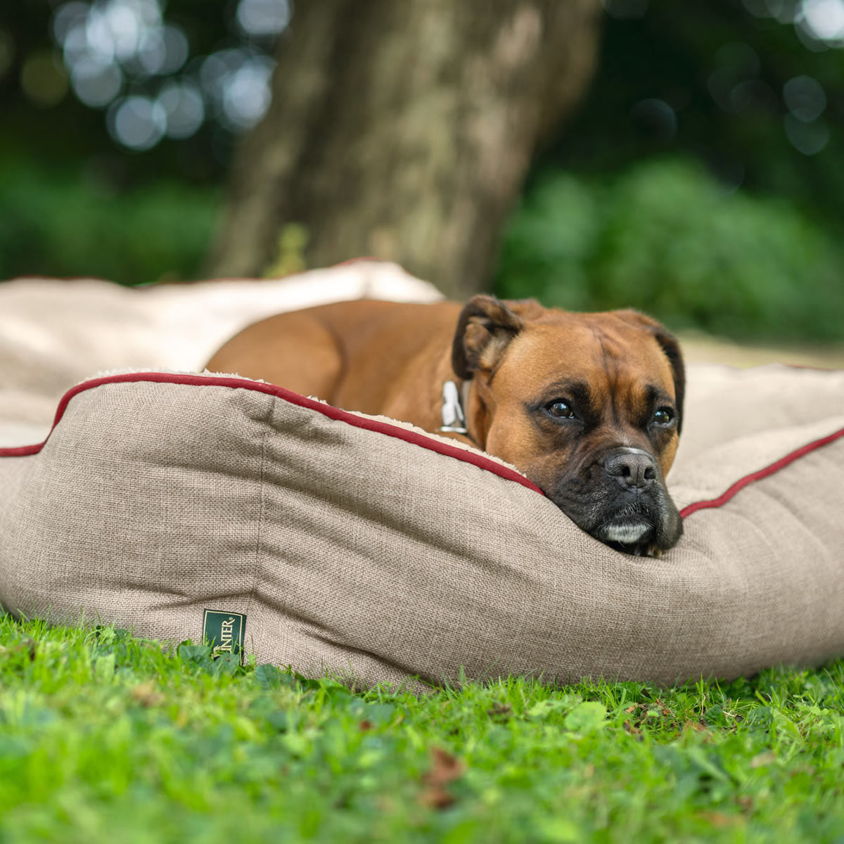 HUNTER Hundesofa University