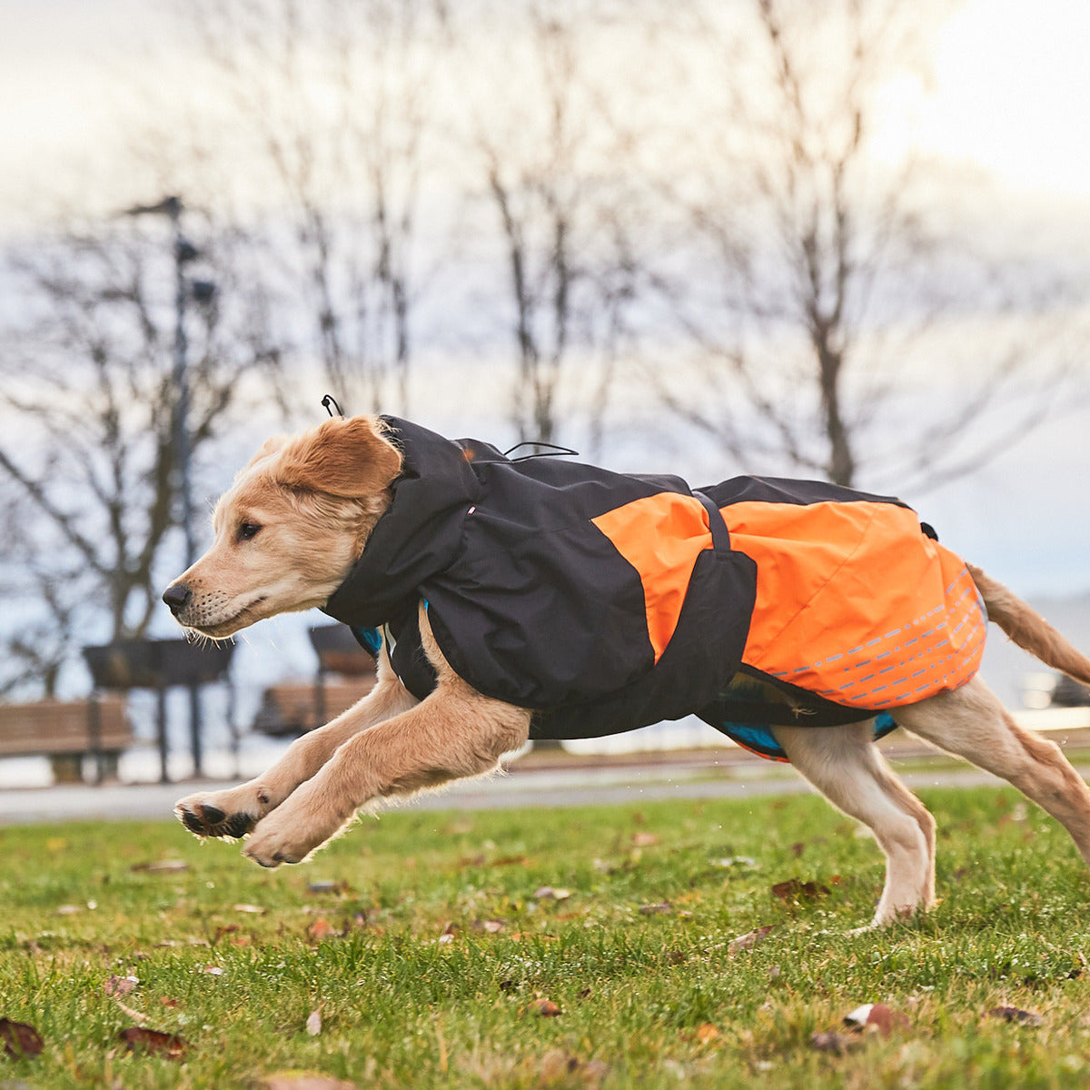 NON-STOP DOGWEAR Hundejacke Glacier Dog Jacket 2.0