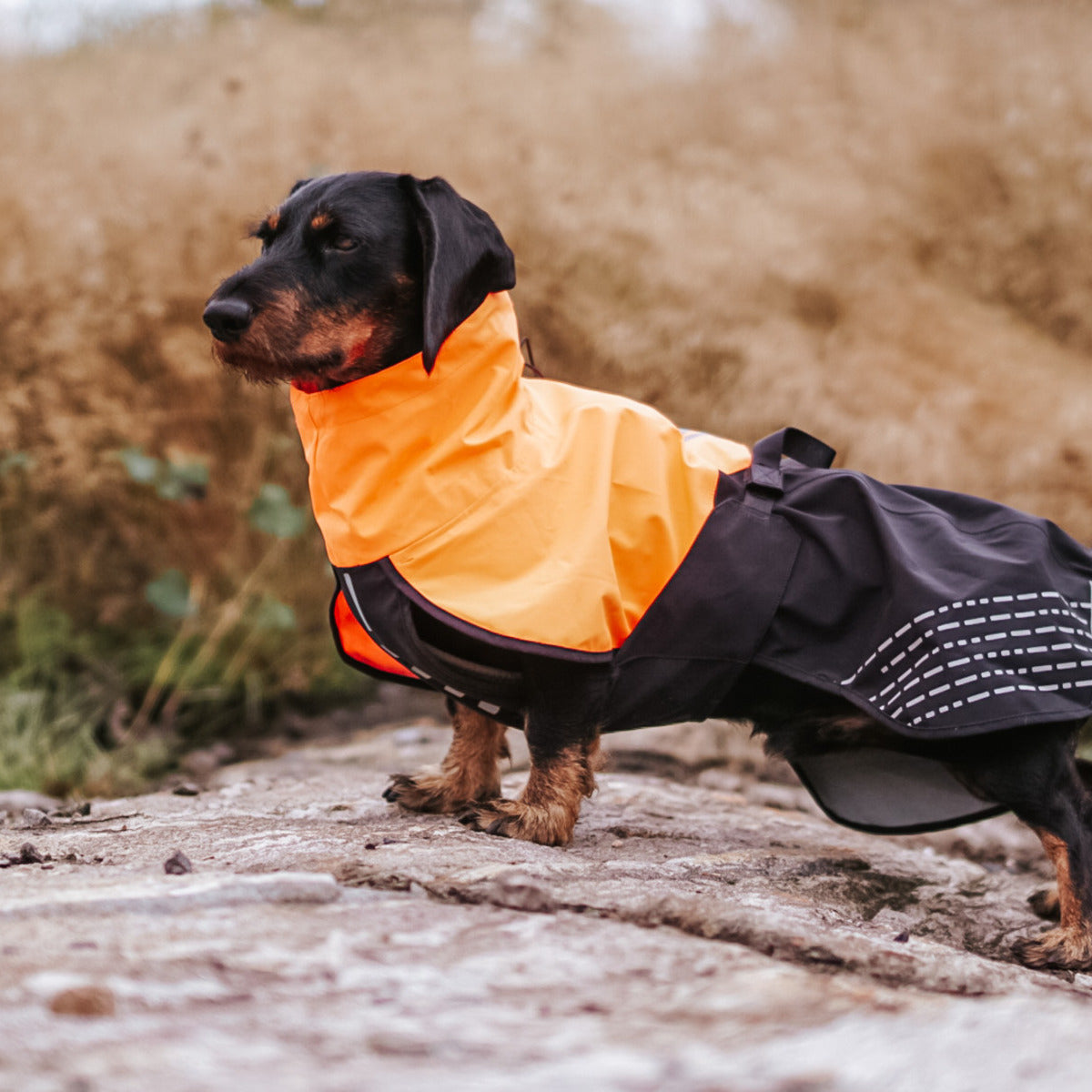 NON-STOP DOGWEAR Regenmantel Fjord Raincoat