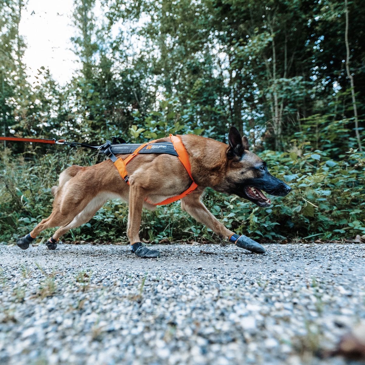 NON-STOP DOGWEAR Zuggeschirr Freemotion Harness 5.0