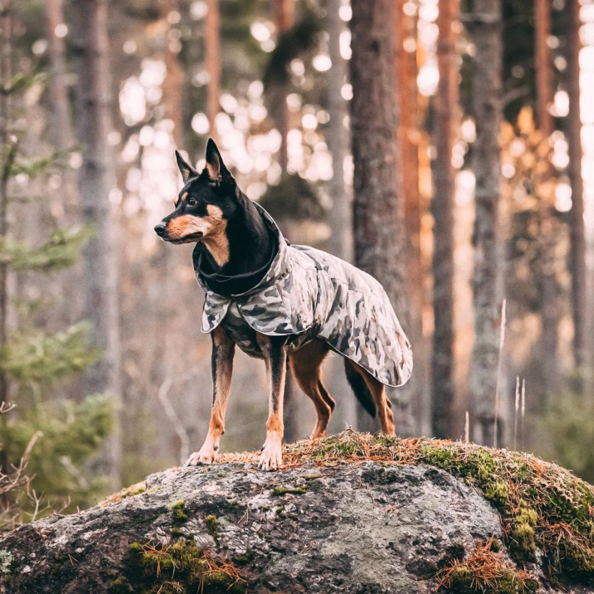 PAIKKA Hunde Regenmantel wärmend