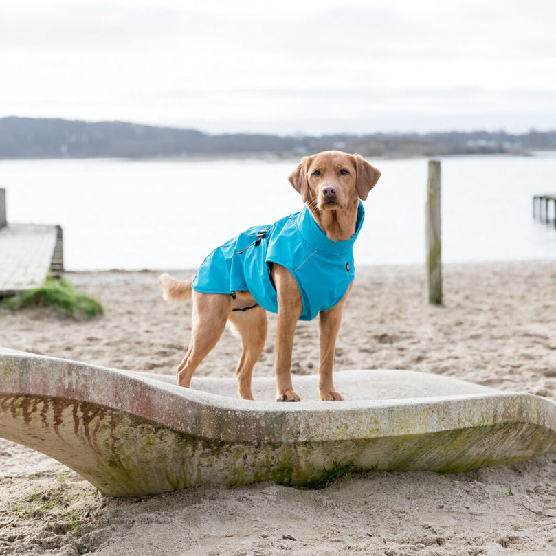 TRIXIE Regenmantel Vimy für Hunde