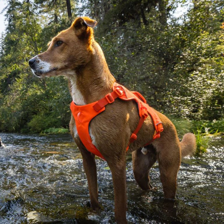 RUFFWEAR Hundegeschirr Web Master Harness