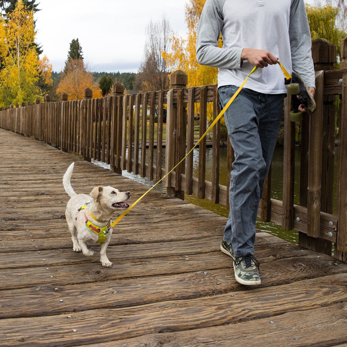 RUFFWEAR Hundegeschirr Flagline™ Harness