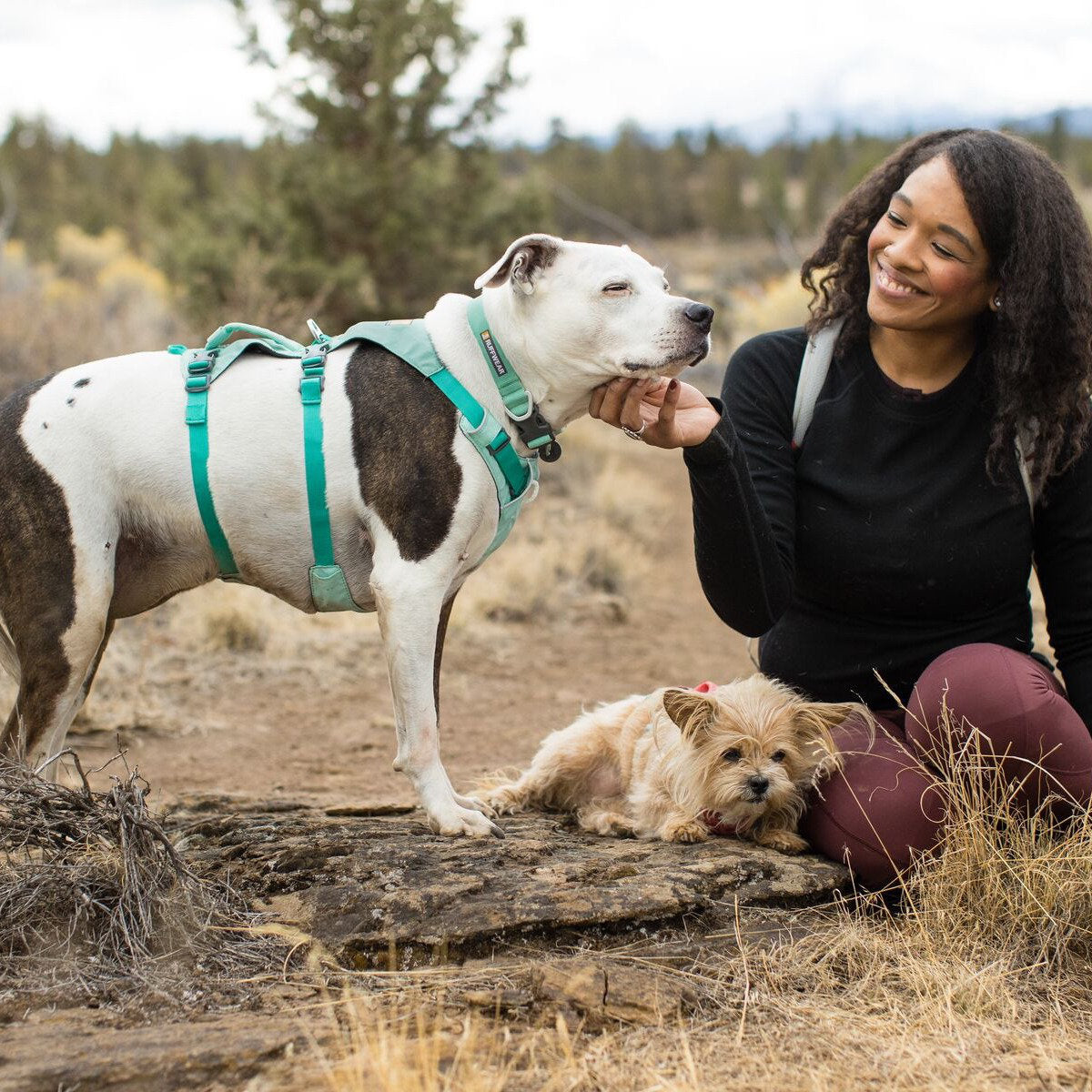 RUFFWEAR Hundegeschirr Flagline™ Harness