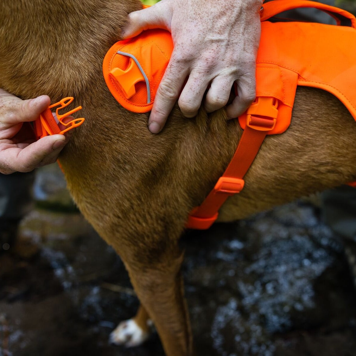 RUFFWEAR Hundegeschirr Web Master Harness