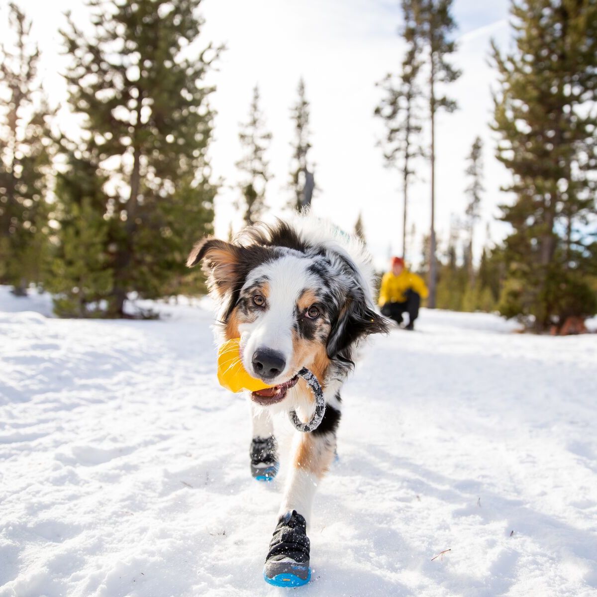 RUFFWEAR Hundeschuhe Polar Trex™ Obsidian Black - 2er Pack