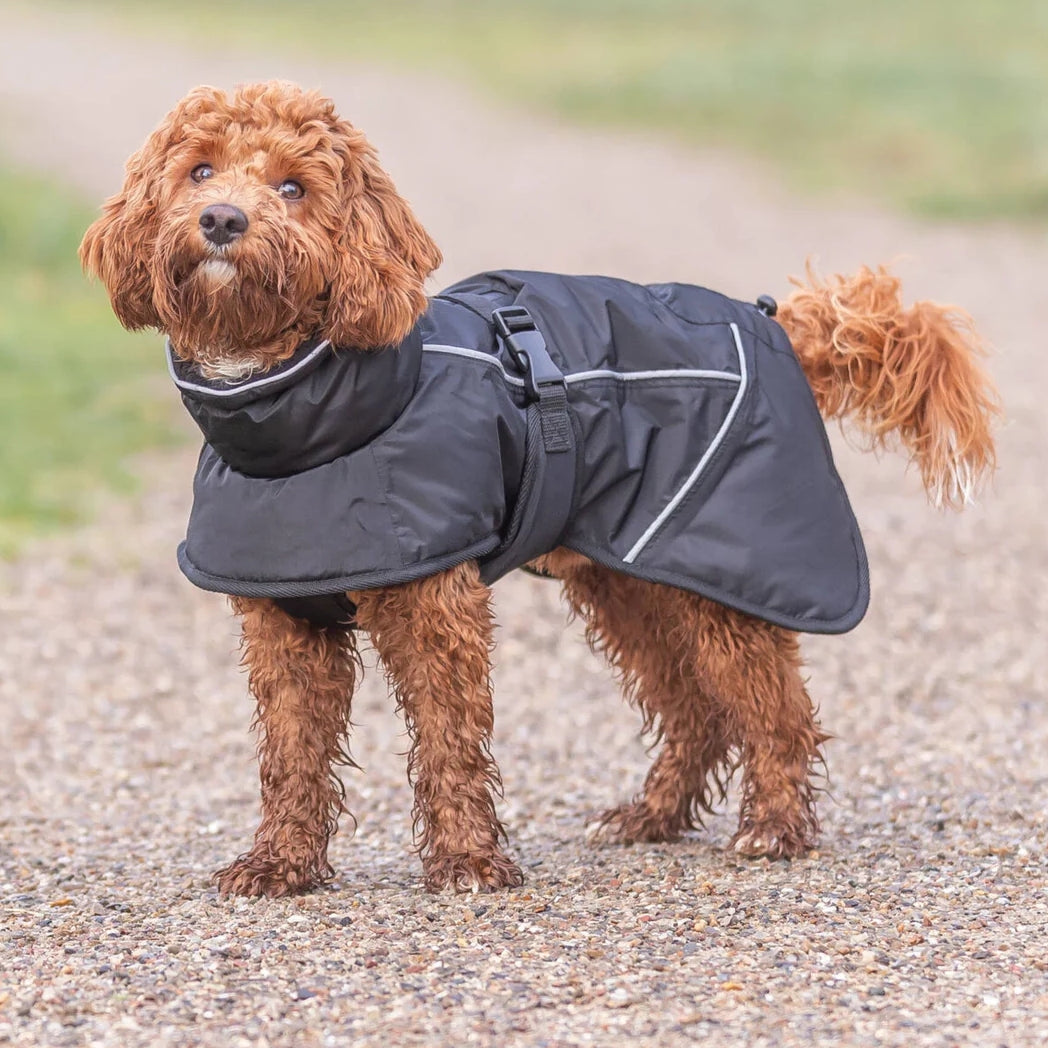 TRIXIE Wintermantel Brizon