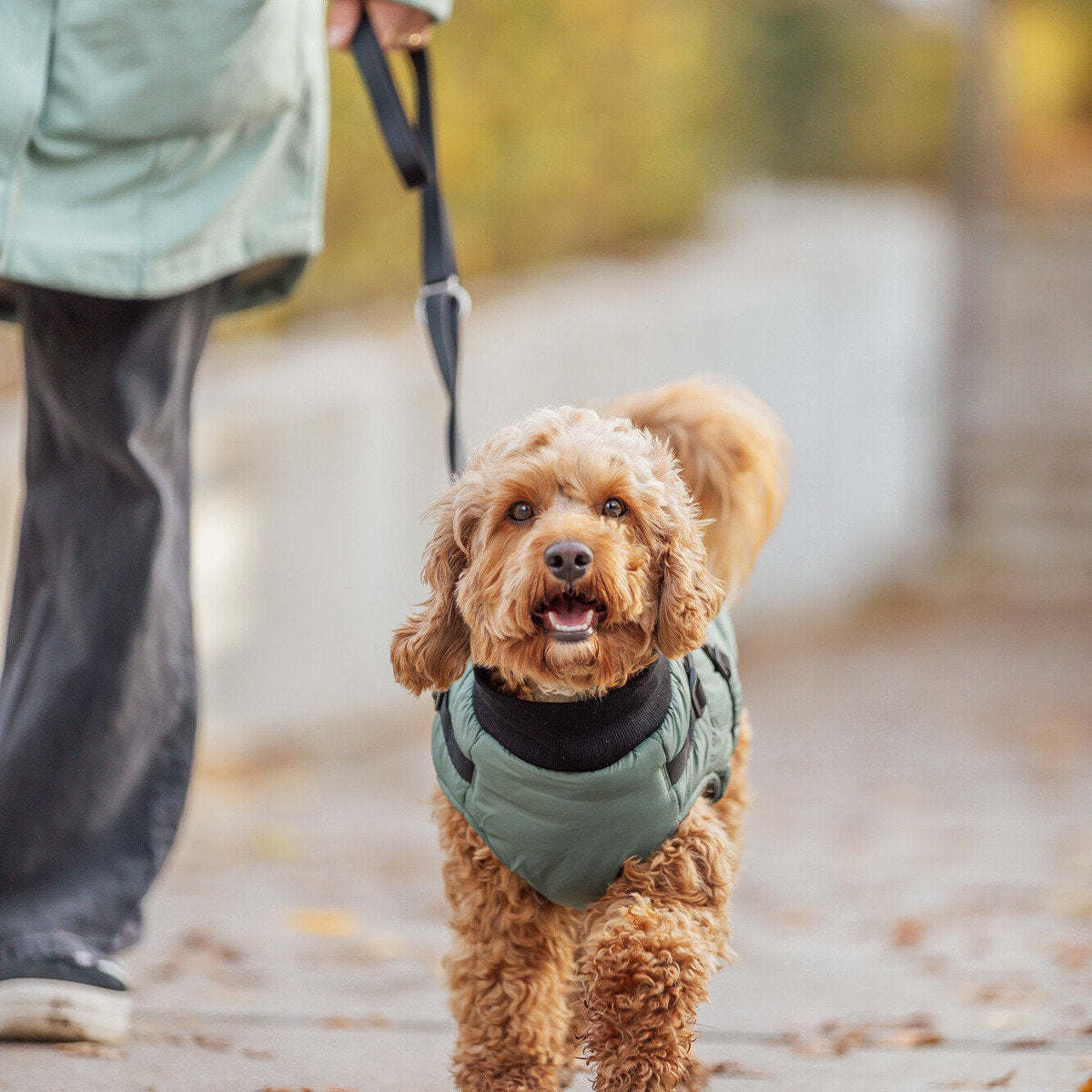 TRIXIE Geschirr-Mantel Pontis