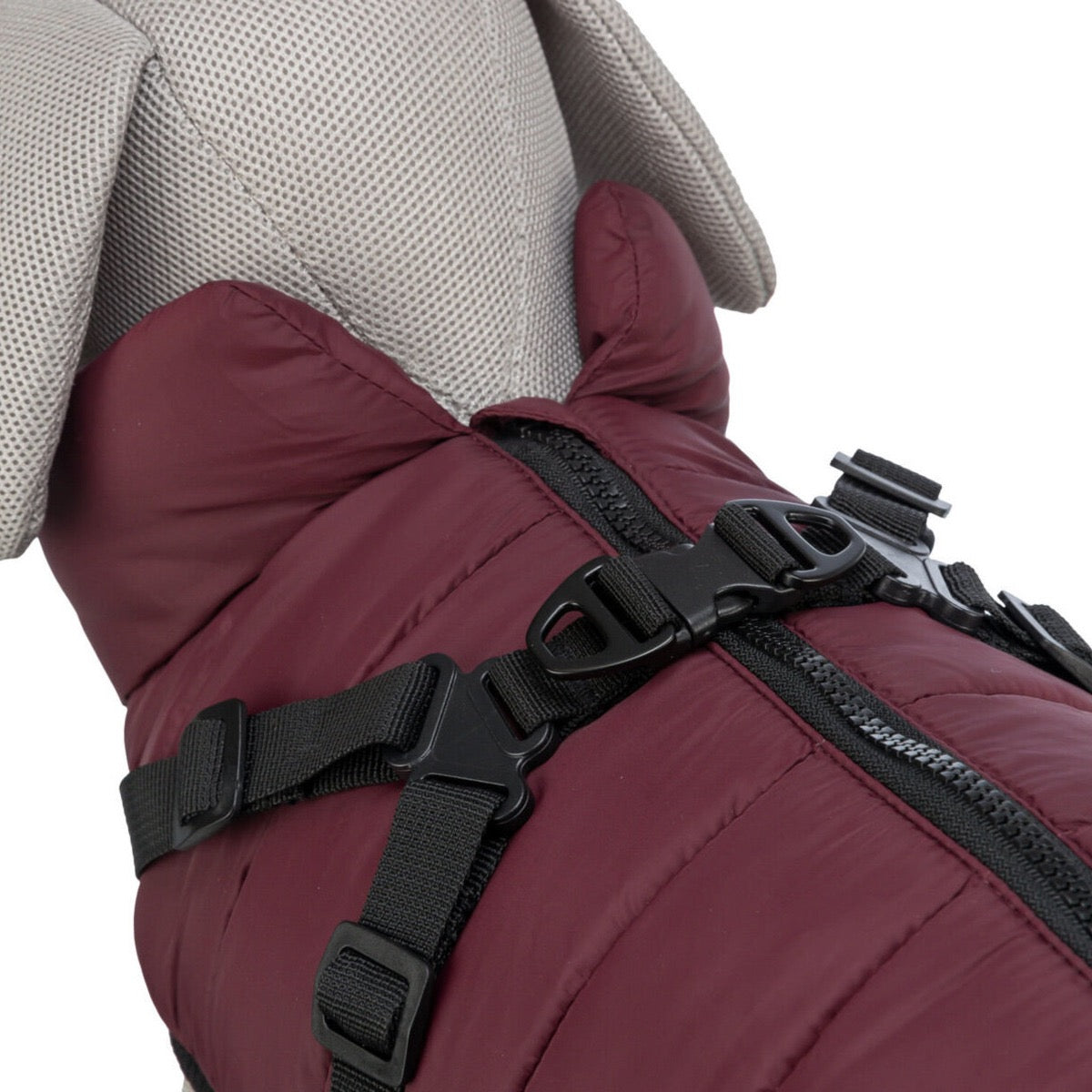 TRIXIE Geschirr-Wintermantel Pirou