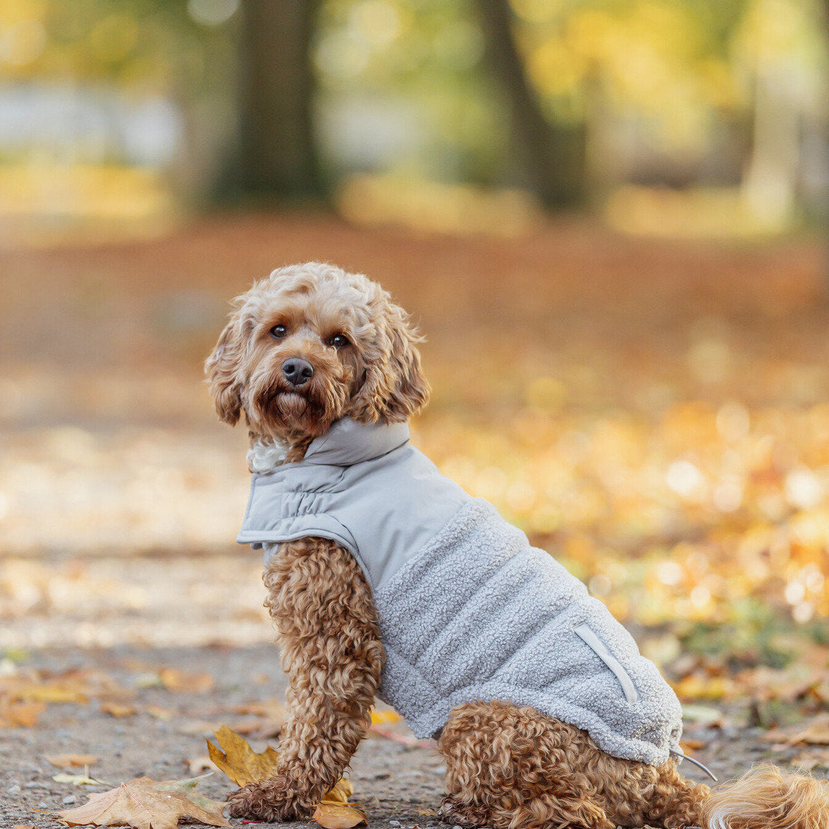 TRIXIE Wintermantel Ajou