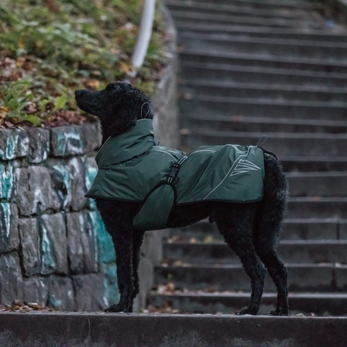 TRIXIE Wintermantel Explore Thermo