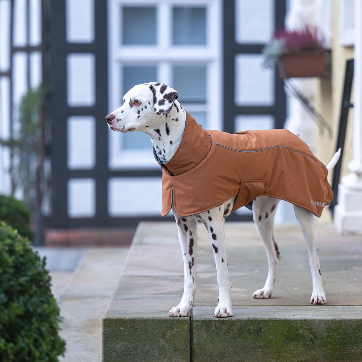 WOLTERS Cape Adventure