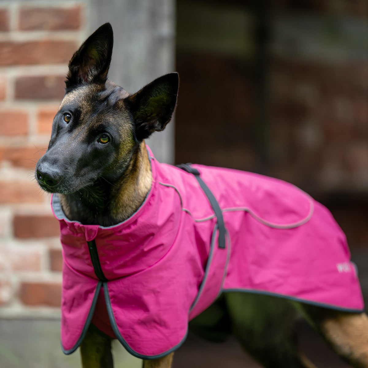 WOLTERS Cape Drizzle