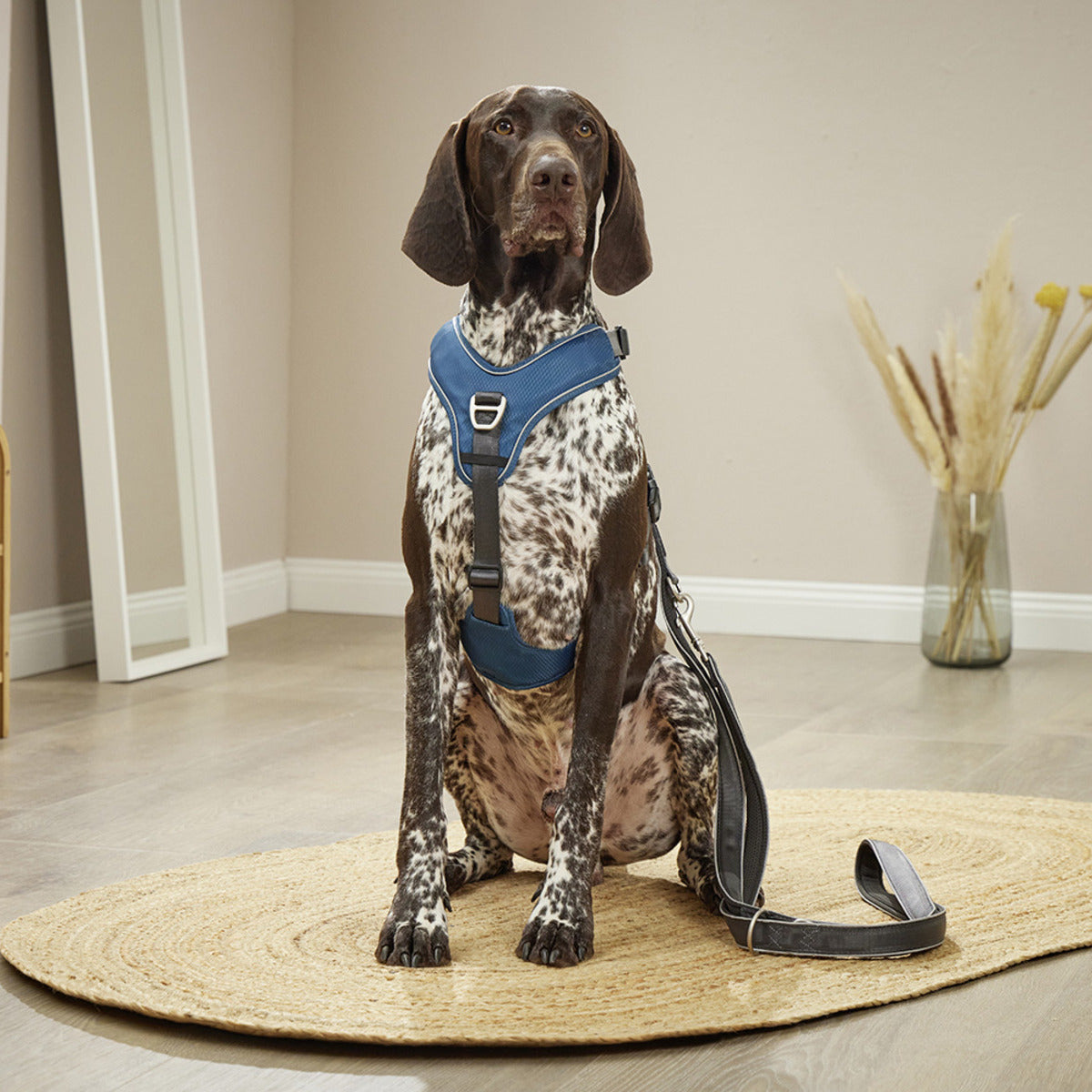 WOLTERS Geschirr Active Pro Comfort