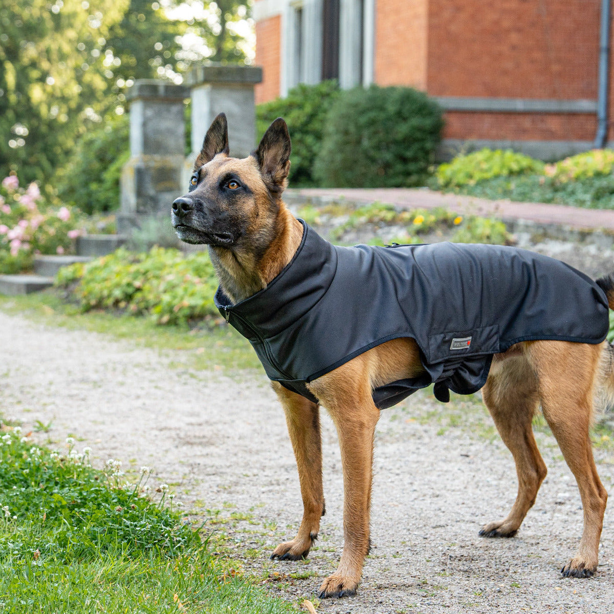 WOLTERS Softshelljacke Casual