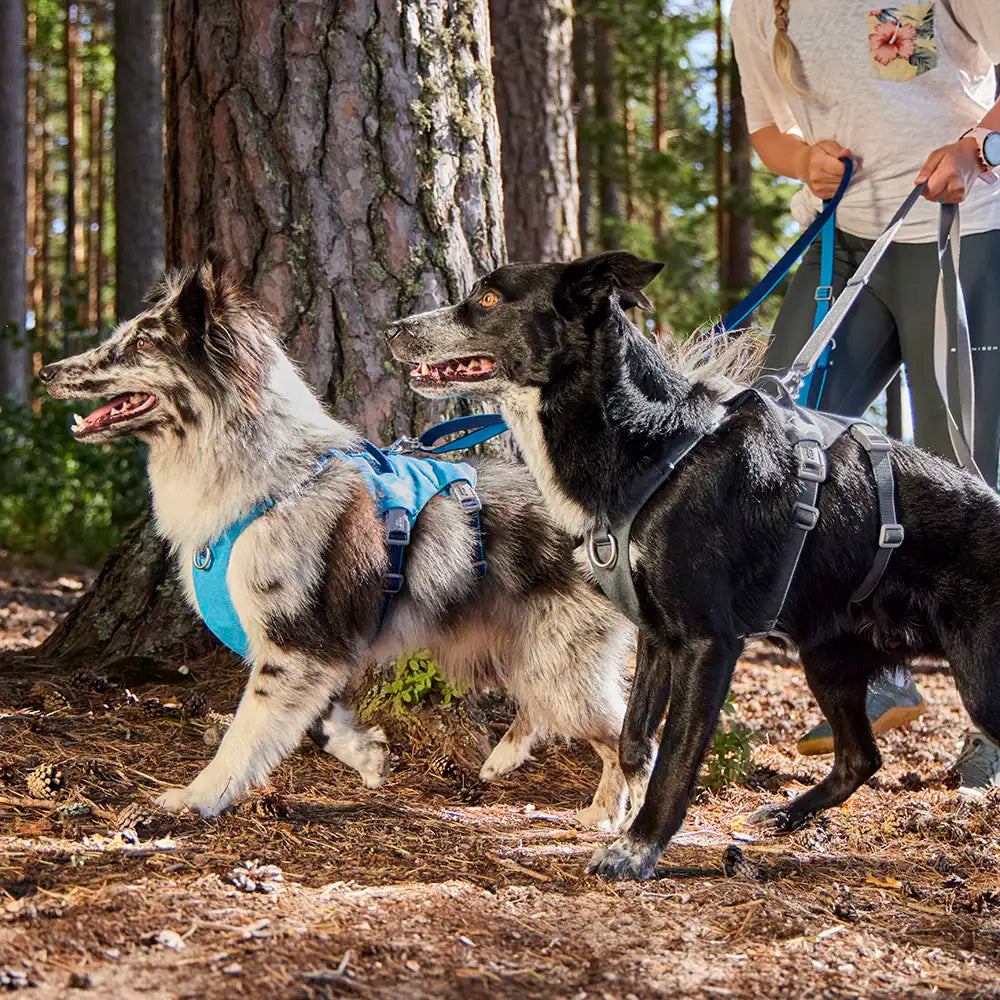 HURTTA Multi-lange Leine II