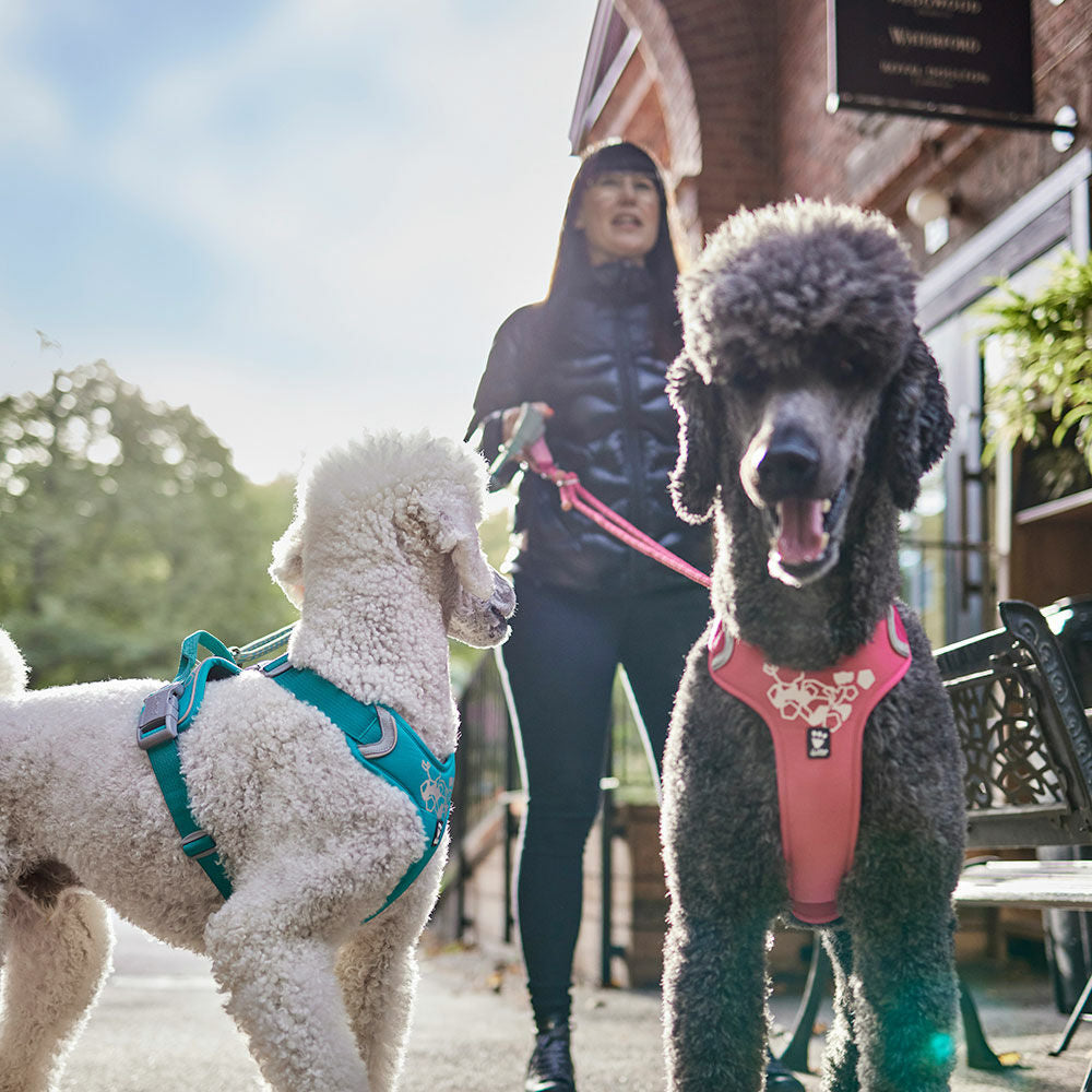 HURTTA Verstellbare Seilleine ECO