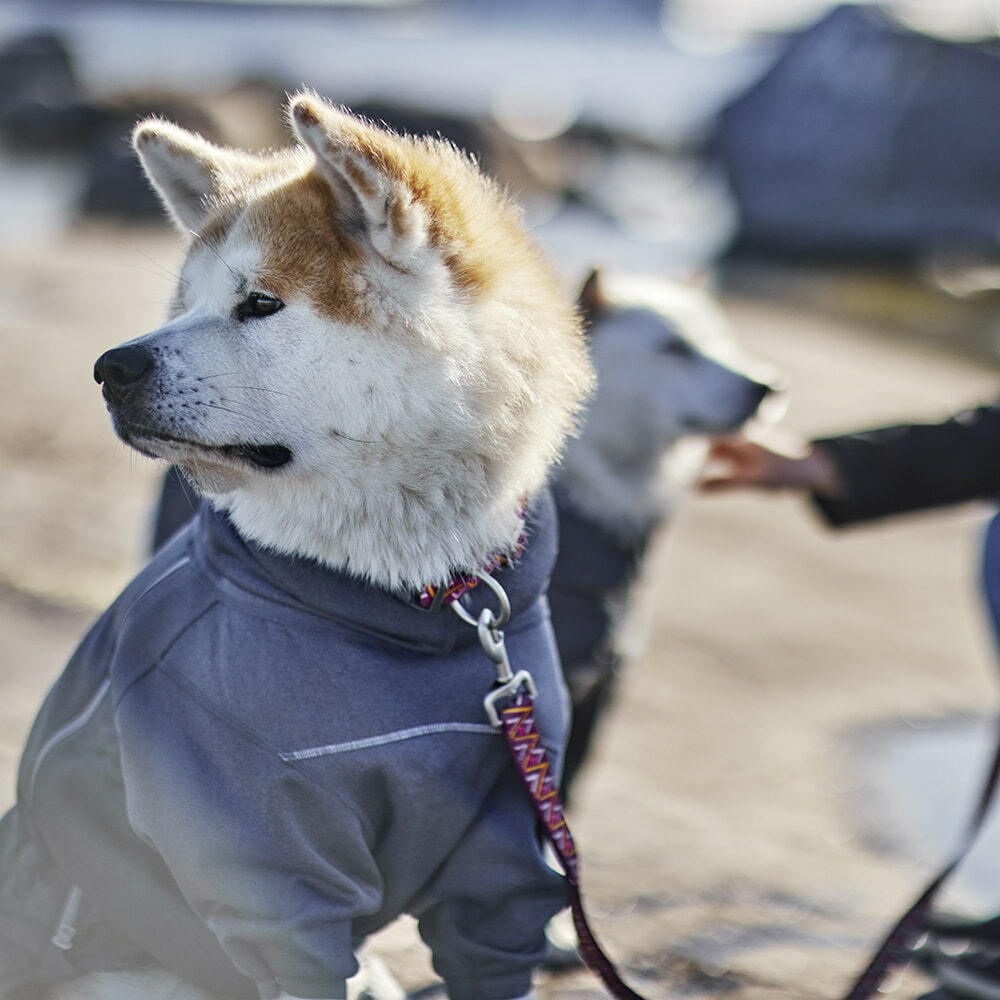 HURTTA Midlayer Overall